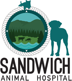 Sandwich Animal Hospital – New Hampshire Logo